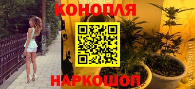 шишки Свободный