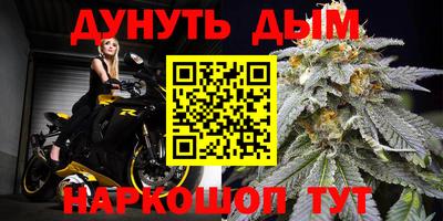 шишки Свободный