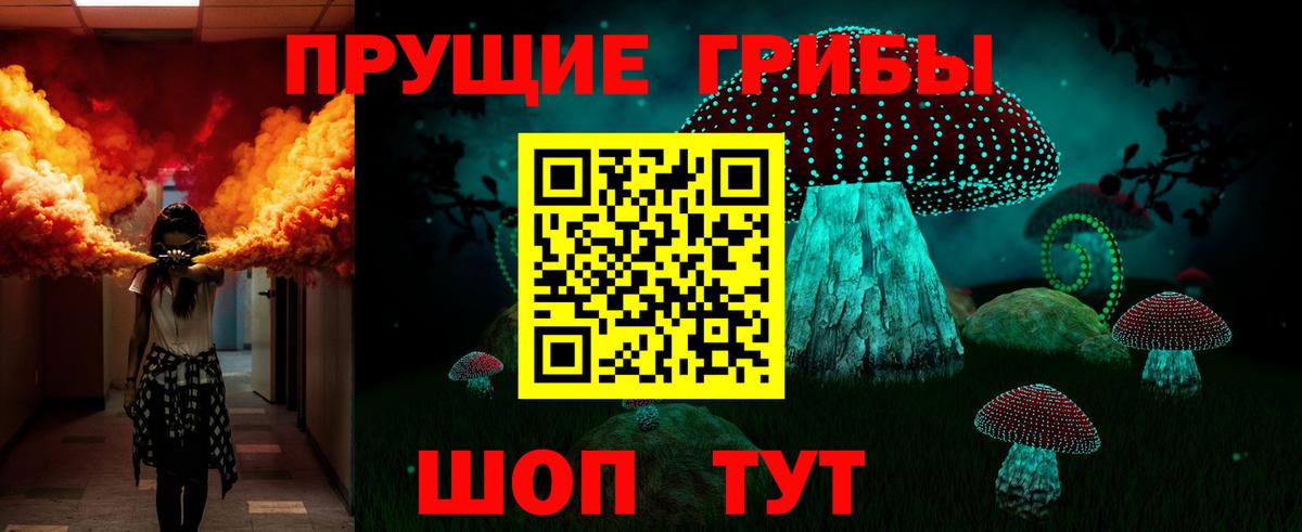 Галлюциногенные грибы прущие грибы Семилуки