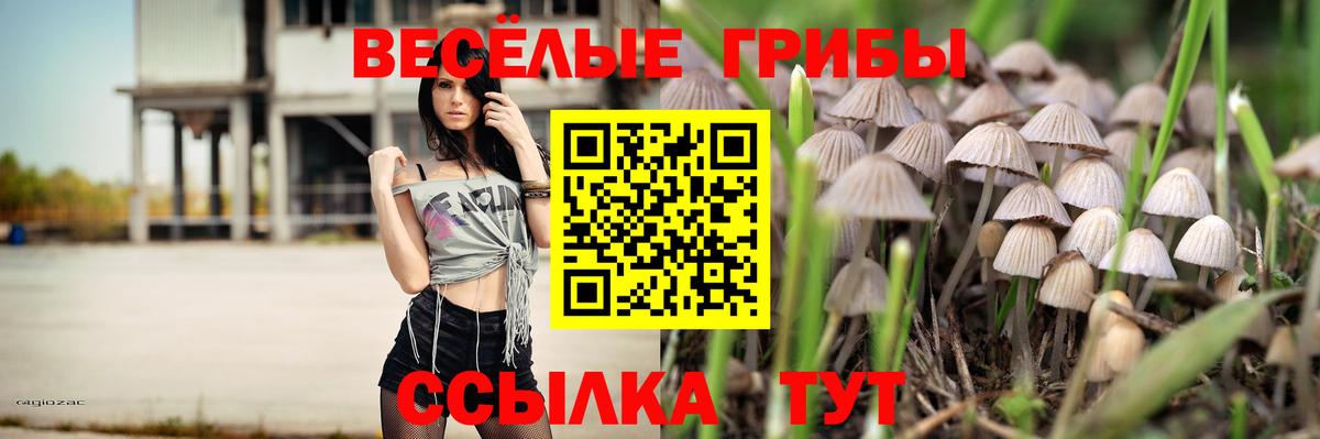 Семилуки  Галлюциногенные грибы прущие грибы  Вход с VPN  Галлюциногенные грибы GOLDEN TEACHER 